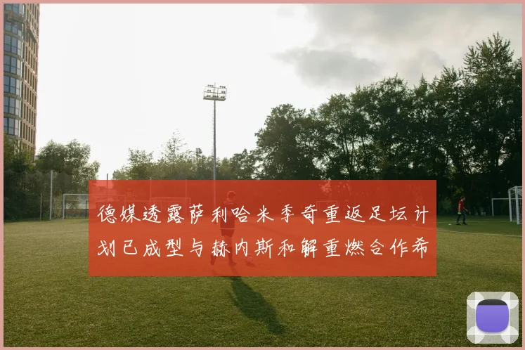 德媒透露萨利哈米季奇重返足坛计划已成型与赫内斯和解重燃合作希望