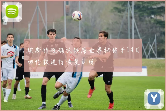 埃斯特旺确认缺席世界杯将于14日回伦敦进行恢复训练